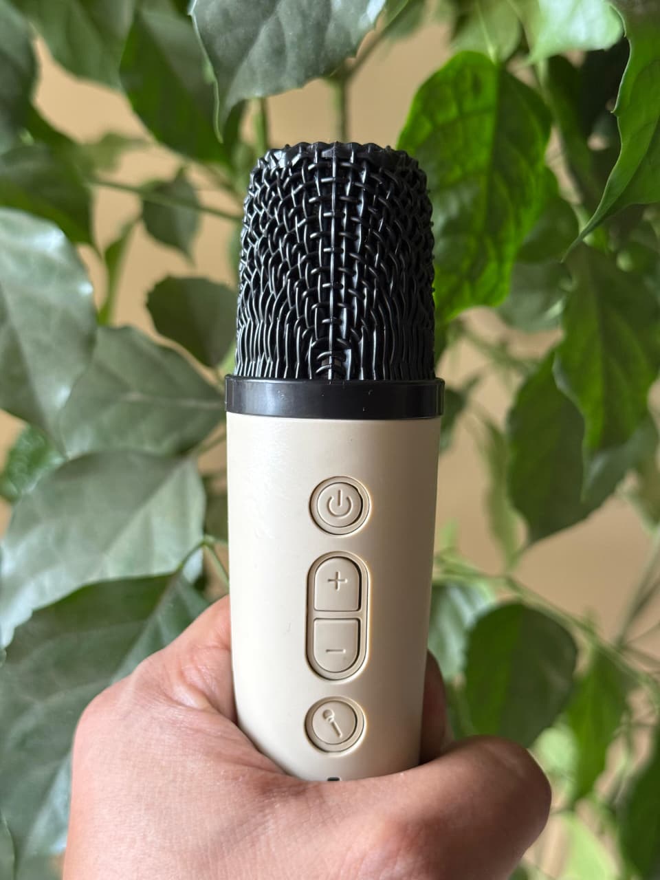Party Tune Karaoke Speaker With Mic - The Unlimited Fun Machine